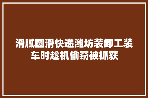 滑腻圆滑快递潍坊装卸工装车时趁机偷窃被抓获