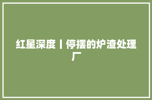 红星深度丨停摆的炉渣处理厂 红星深度丨停摆的炉渣处理厂 人工智能
