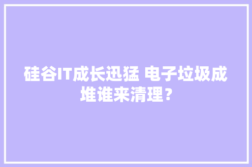 硅谷IT成长迅猛 电子垃圾成堆谁来清理？