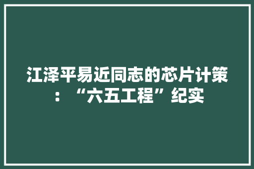 江泽平易近同志的芯片计策：“六五工程”纪实 互联通信