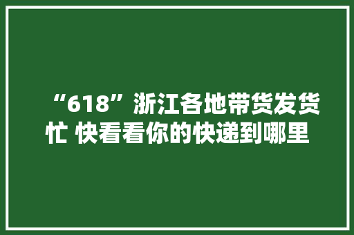 “618”浙江各地带货发货忙 快看看你的快递到哪里了
