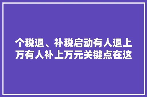 个税退、补税启动有人退上万有人补上万元关键点在这！