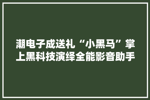 潮电子成送礼“小黑马”掌上黑科技演绎全能影音助手