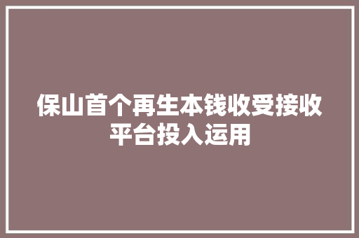 保山首个再生本钱收受接收平台投入运用