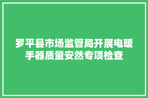 罗平县市场监管局开展电暖手器质量安然专项检查