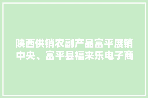 陕西供销农副产品富平展销中央、富平县福来乐电子商务公司开业
