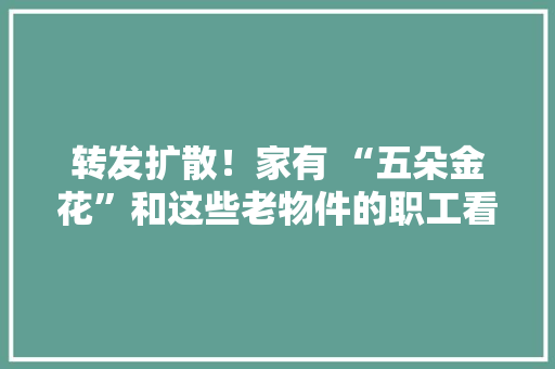转发扩散！家有 “五朵金花”和这些老物件的职工看过来！