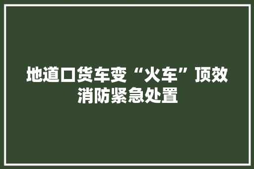 地道口货车变“火车”顶效消防紧急处置
