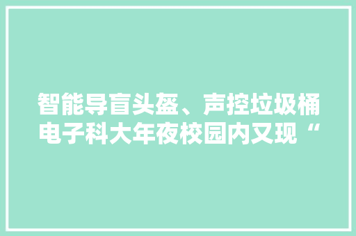 智能导盲头盔、声控垃圾桶电子科大年夜校园内又现“新玩意”！ 智能导盲头盔、声控垃圾桶电子科大年夜校园内又现“新玩意”！ 智能科技