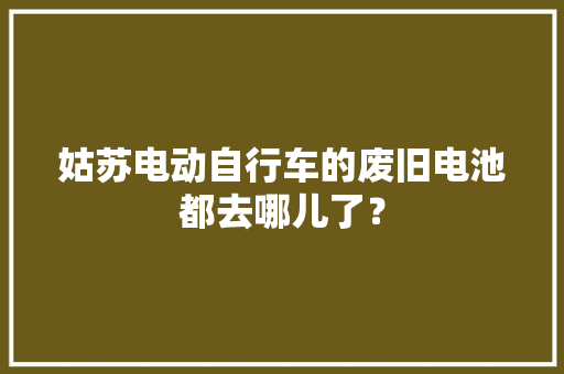 姑苏电动自行车的废旧电池都去哪儿了？