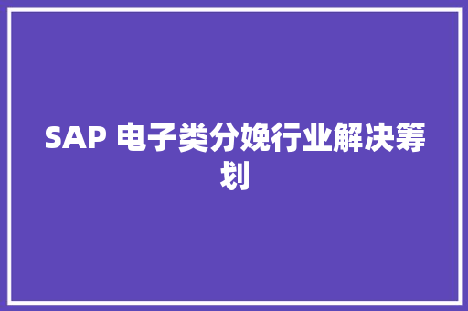 SAP 电子类分娩行业解决筹划
