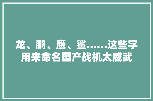 龙、鹏、鹰、鲨……这些字用来命名国产战机太威武