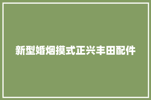 新型婚烟摸式正兴丰田配件