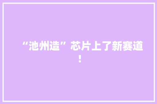 “池州造”芯片上了新赛道！