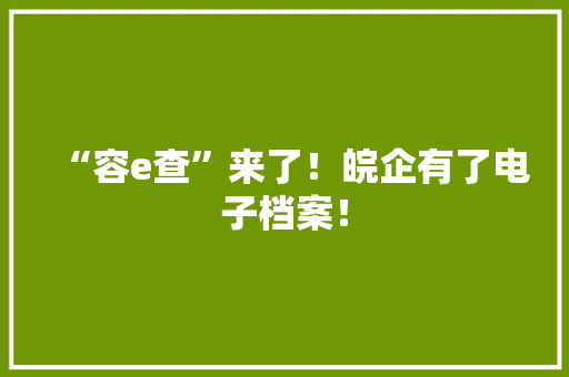“容e查”来了！皖企有了电子档案！ “容e查”来了！皖企有了电子档案！ 人工智能