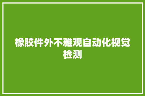 橡胶件外不雅观自动化视觉检测