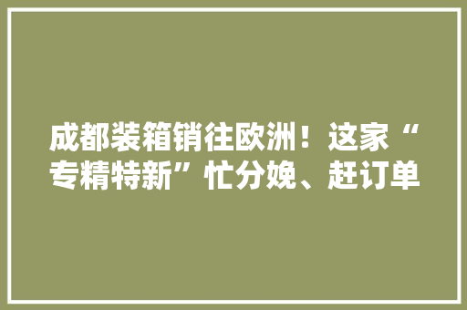 成都装箱销往欧洲！这家“专精特新”忙分娩、赶订单、扩产能…… 成都装箱销往欧洲！这家“专精特新”忙分娩、赶订单、扩产能…… 智能家居