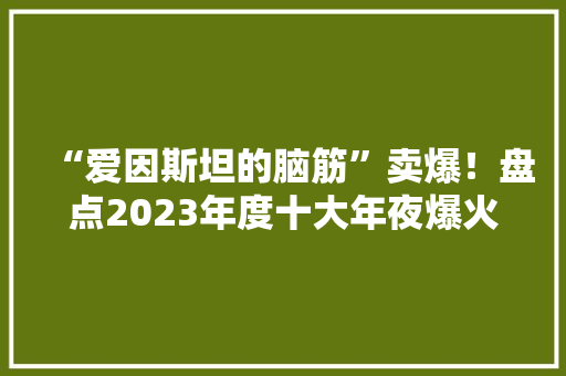 “爱因斯坦的脑筋”卖爆！盘点2023年度十大年夜爆火商品 你买过哪个？ “爱因斯坦的脑筋”卖爆！盘点2023年度十大年夜爆火商品 你买过哪个？ 人工智能