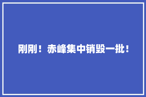 刚刚！赤峰集中销毁一批！