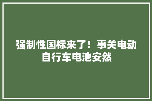 强制性国标来了！事关电动自行车电池安然