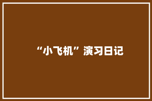 “小飞机”演习日记 “小飞机”演习日记 互联通信
