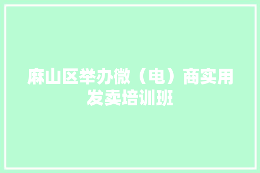 麻山区举办微（电）商实用发卖培训班