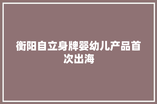 衡阳自立身牌婴幼儿产品首次出海