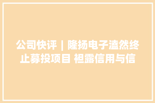 公司快评︱隆扬电子溘然终止募投项目 袒露信用与信披双重问题 智能科技