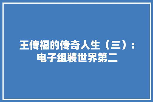 王传福的传奇人生（三）:电子组装世界第二