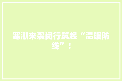 寒潮来袭闵行筑起“温暖防线”！