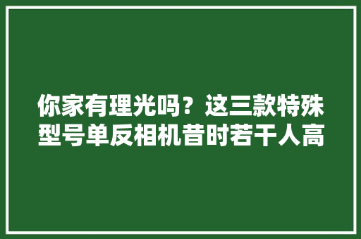 你家有理光吗？这三款特殊型号单反相机昔时若干人高攀不起