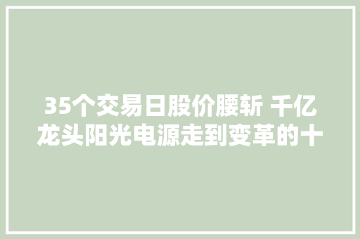 35个交易日股价腰斩 千亿龙头阳光电源走到变革的十字路口？