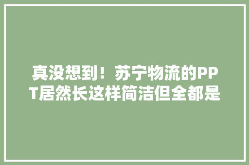 真没想到！苏宁物流的PPT居然长这样简洁但全都是细节