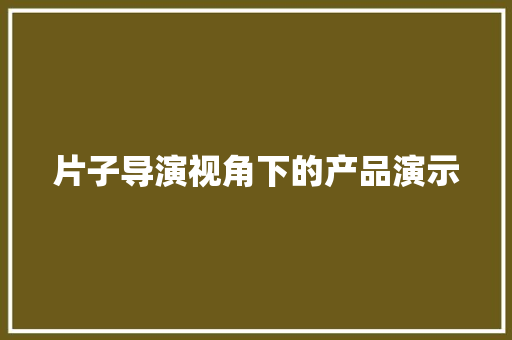 片子导演视角下的产品演示