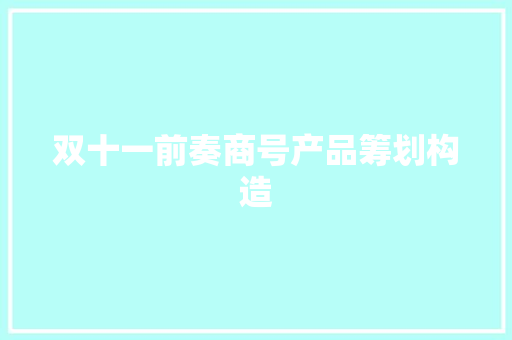 双十一前奏商号产品筹划构造