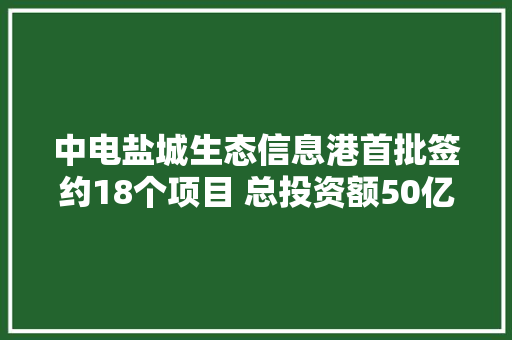 中电盐城生态信息港首批签约18个项目 总投资额50亿元