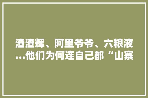 渣渣辉、阿里爷爷、六粮液…他们为何连自己都“山寨”