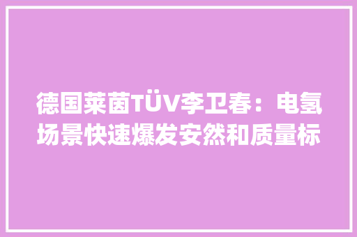 德国莱茵TÜV李卫春：电氢场景快速爆发安然和质量标准亟待体系化完善