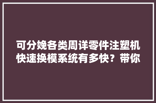 可分娩各类周详零件注塑机快速换模系统有多快？带你深入讲解