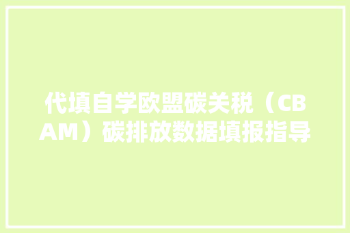 代填自学欧盟碳关税（CBAM）碳排放数据填报指导文件中英视频