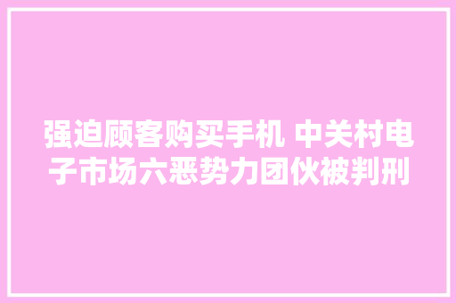 强迫顾客购买手机 中关村电子市场六恶势力团伙被判刑