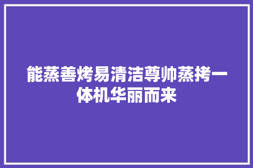 能蒸善烤易清洁尊帅蒸拷一体机华丽而来