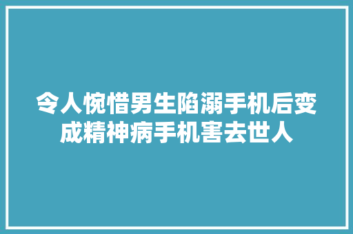 令人惋惜男生陷溺手机后变成精神病手机害去世人