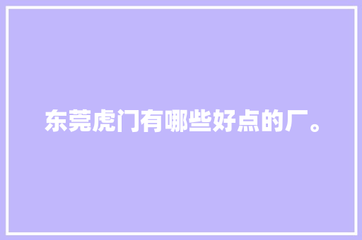 东莞虎门有哪些好点的厂。