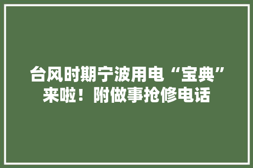 台风时期宁波用电“宝典”来啦！附做事抢修电话