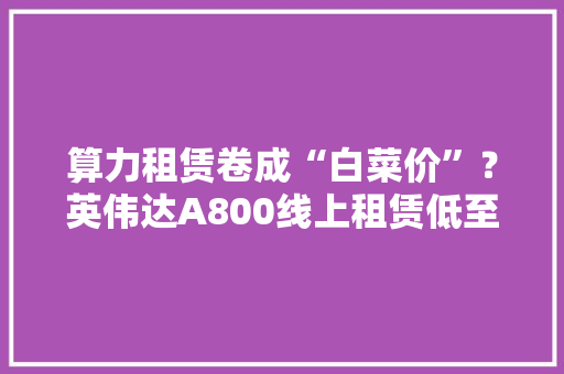 算力租赁卷成“白菜价”？英伟达A800线上租赁低至2元/时月成本仅需千余元附算力行业成长现状分析