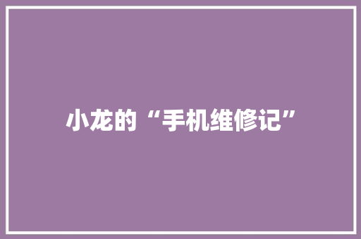 小龙的“手机维修记”