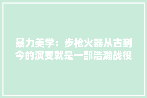 暴力美学：步枪火器从古到今的演变就是一部浩瀚战役史