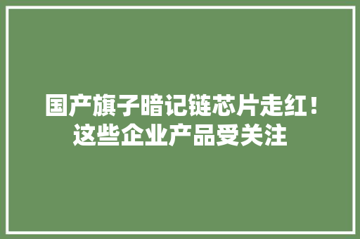国产旗子暗记链芯片走红！这些企业产品受关注