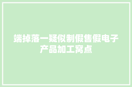 端掉落一疑似制假售假电子产品加工窝点 端掉落一疑似制假售假电子产品加工窝点 智能家居